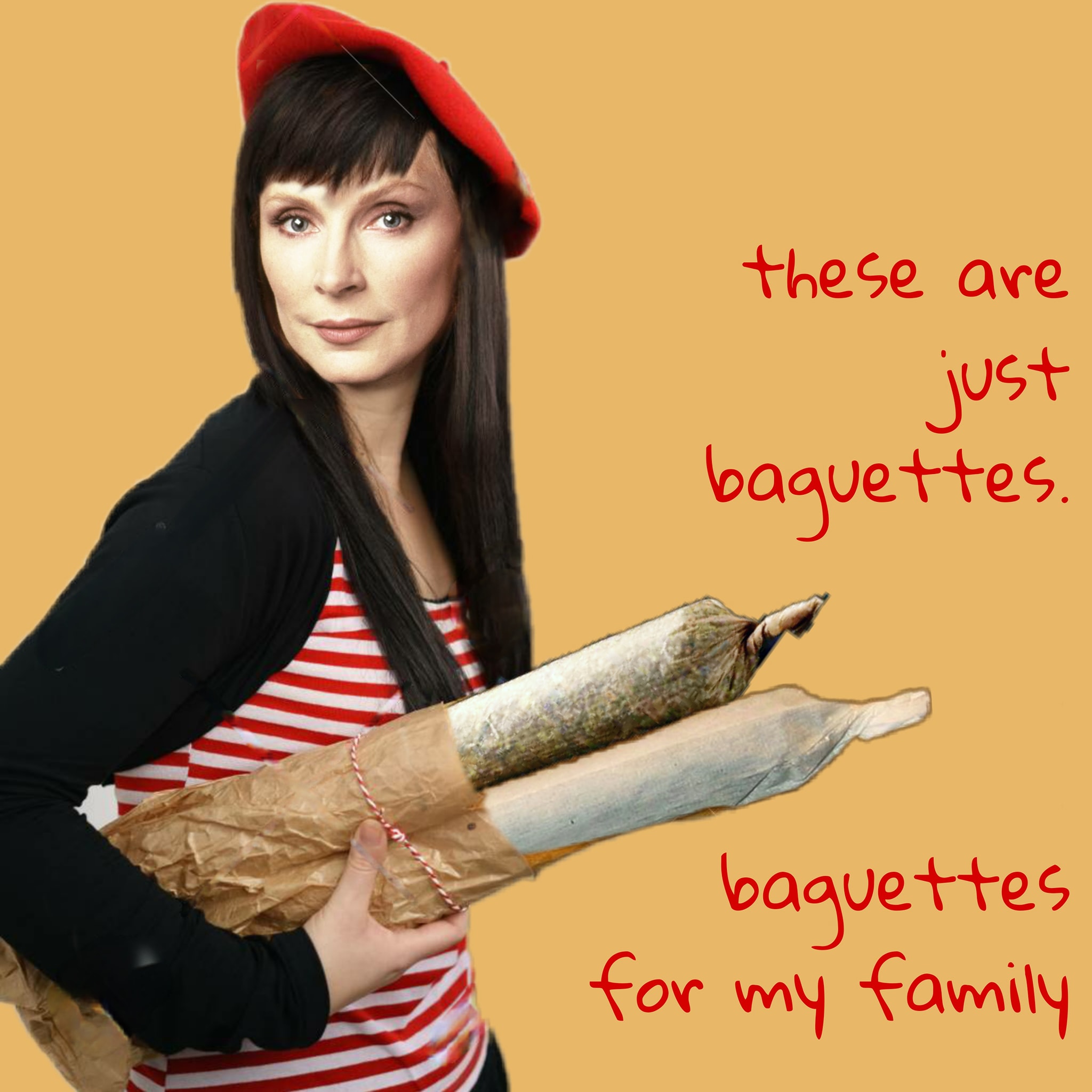 This meme is a play on a famous song by Taylor Swift, but with a twist. The image features a person holding a baguette, and the text "These are not the droids you're looking for" is replaced with "These are not the baguettes you're looking for". The meme is a humorous take on a popular sci-fi reference, applying it to a mundane situation.